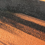 Empty City, Bygone Years