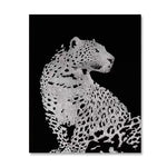 Black and White Leopard