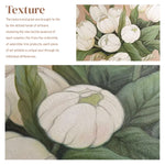 Pristine White Tulips