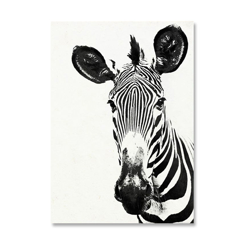 Black and White Zebra