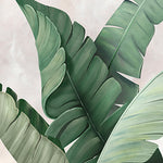 Leaves Forming a Canopy