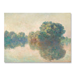 Blooms Along the Way